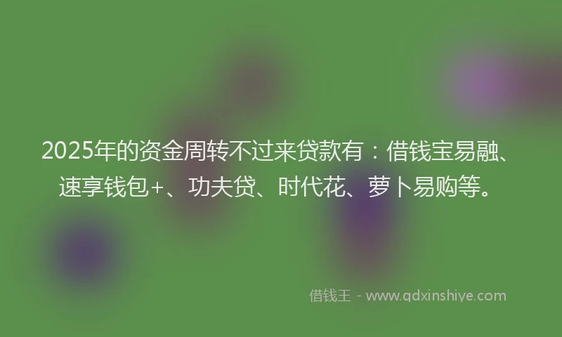 2025年的资金周转不过来贷款有：借钱宝易融、速享钱包+、功夫贷、时代花、萝卜易购等。