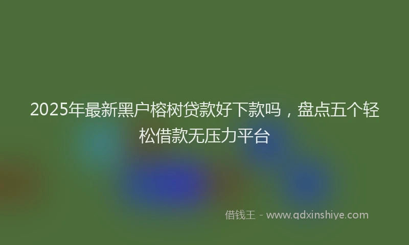 2025年最新黑户榕树贷款好下款吗，盘点五个轻松借款无压力平台