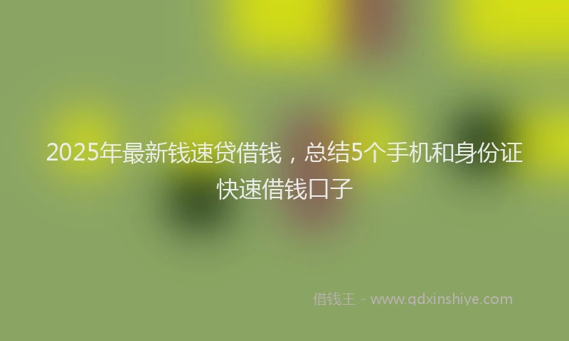 2025年最新钱速贷借钱，总结5个手机和身份证快速借钱口子