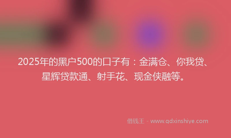2025年的黑户500的口子有：金满仓、你我贷、星辉贷款通、射手花、现金侠融等。