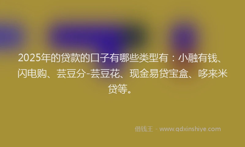 2025年的贷款的口子有哪些类型有：小融有钱、闪电购、芸豆分-芸豆花、现金易贷宝盒、哆来米贷等。