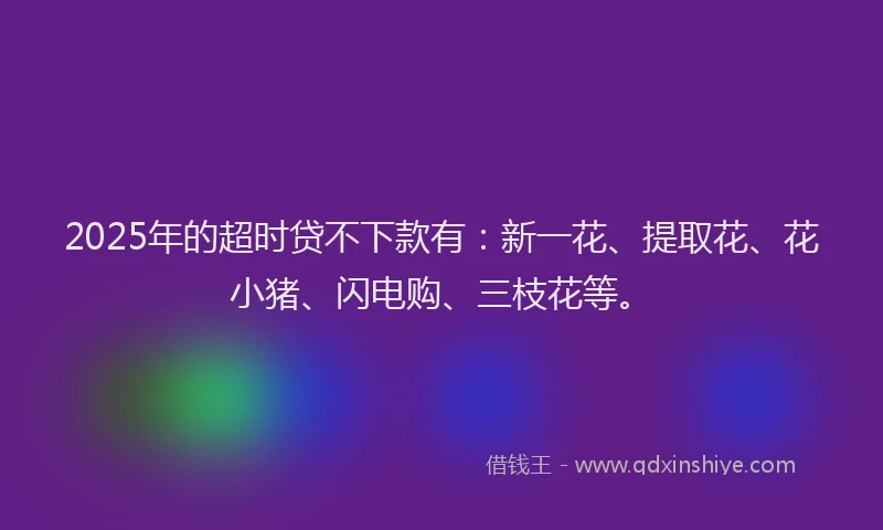2025年的超时贷不下款有：新一花、提取花、花小猪、闪电购、三枝花等。