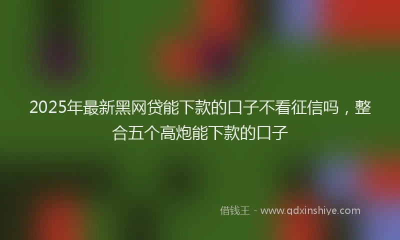 2025年最新黑网贷能下款的口子不看征信吗，整合五个高炮能下款的口子
