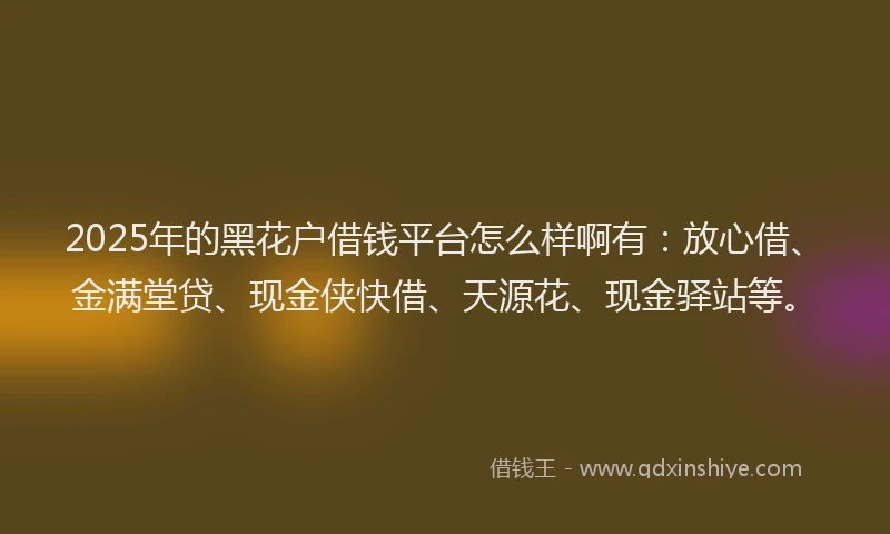 2025年的黑花户借钱平台怎么样啊有：放心借、金满堂贷、现金侠快借、天源花、现金驿站等。