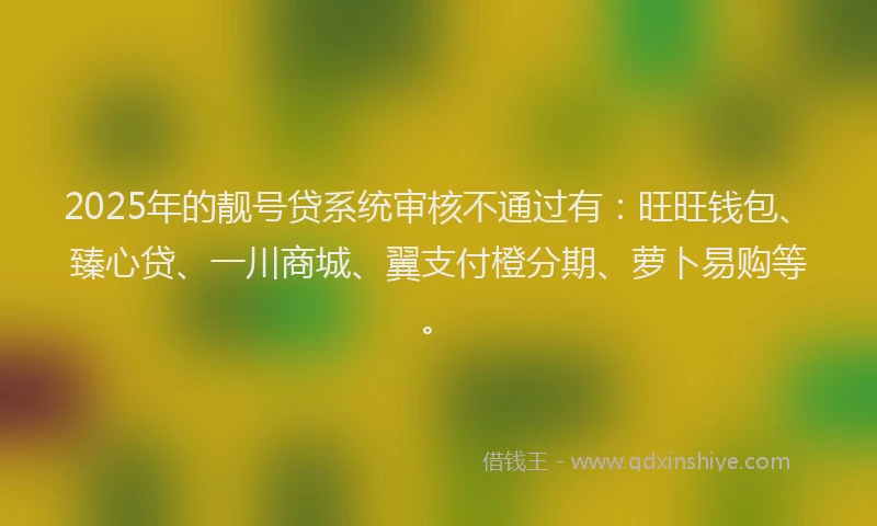 2025年的靓号贷系统审核不通过有：旺旺钱包、臻心贷、一川商城、翼支付橙分期、萝卜易购等。