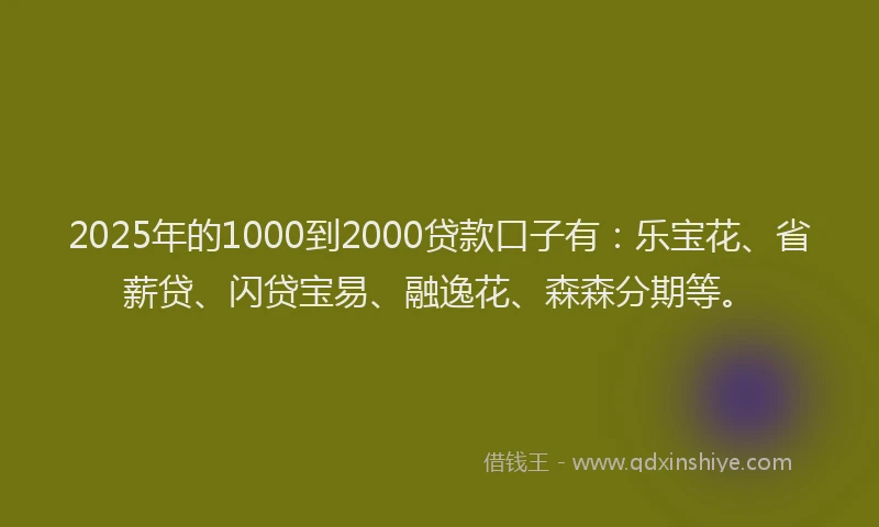 2025年的1000到2000贷款口子有：乐宝花、省薪贷、闪贷宝易、融逸花、森森分期等。