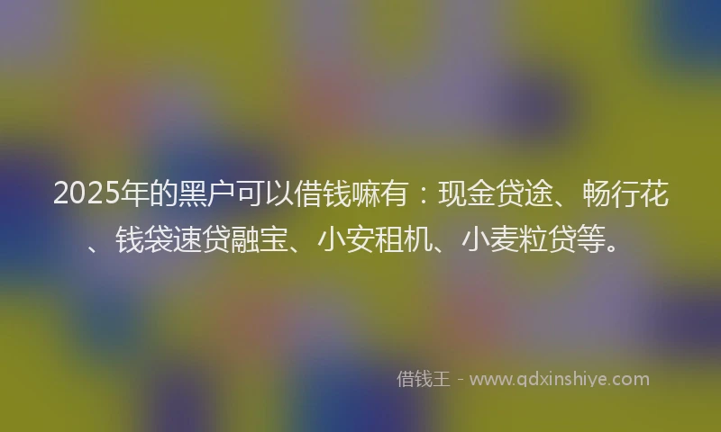 2025年的黑户可以借钱嘛有：现金贷途、畅行花、钱袋速贷融宝、小安租机、小麦粒贷等。