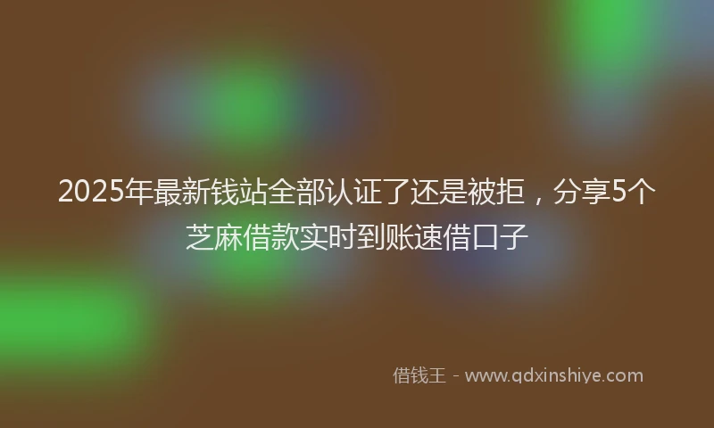 2025年最新钱站全部认证了还是被拒，分享5个芝麻借款实时到账速借口子