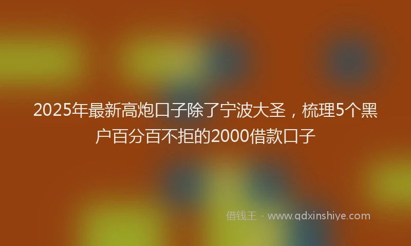 2025年最新高炮口子除了宁波大圣，梳理5个黑户百分百不拒的2000借款口子