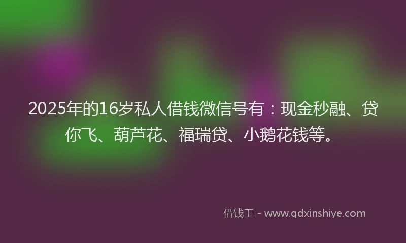 2025年的16岁私人借钱微信号有：现金秒融、贷你飞、葫芦花、福瑞贷、小鹅花钱等。