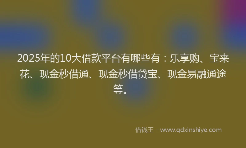 2025年的10大借款平台有哪些有：乐享购、宝来花、现金秒借通、现金秒借贷宝、现金易融通途等。