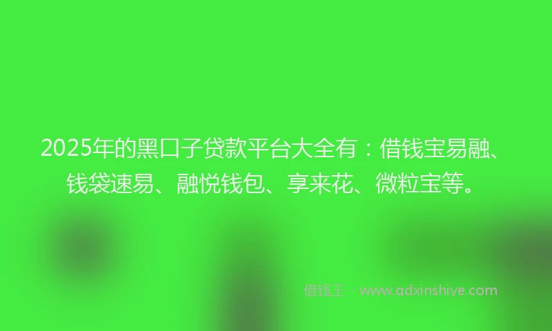 2025年的黑口子贷款平台大全有：借钱宝易融、钱袋速易、融悦钱包、享来花、微粒宝等。