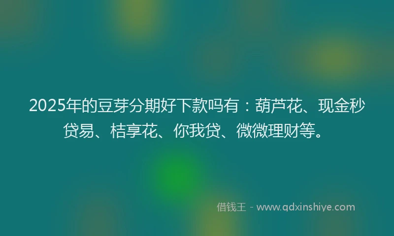 2025年的豆芽分期好下款吗有：葫芦花、现金秒贷易、桔享花、你我贷、微微理财等。