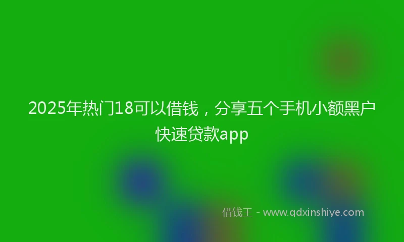 2025年热门18可以借钱，分享五个手机小额黑户快速贷款app