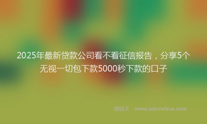 2025年最新贷款公司看不看征信报告，分享5个无视一切包下款5000秒下款的口子