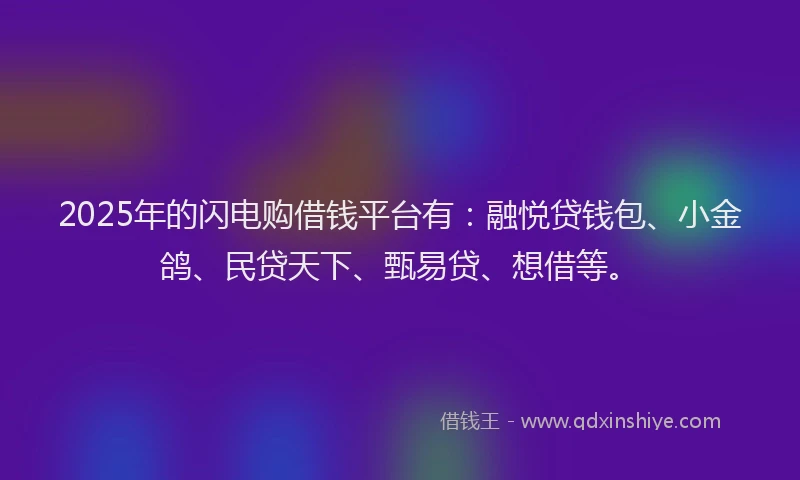 2025年的闪电购借钱平台有：融悦贷钱包、小金鸽、民贷天下、甄易贷、想借等。