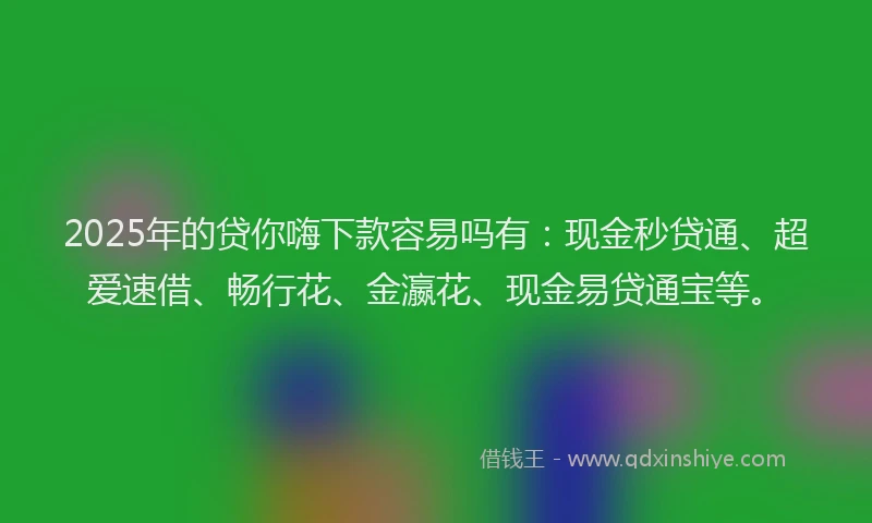 2025年的贷你嗨下款容易吗有：现金秒贷通、超爱速借、畅行花、金瀛花、现金易贷通宝等。