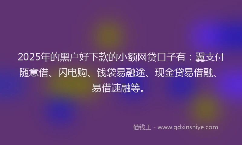2025年的黑户好下款的小额网贷口子有：翼支付随意借、闪电购、钱袋易融途、现金贷易借融、易借速融等。