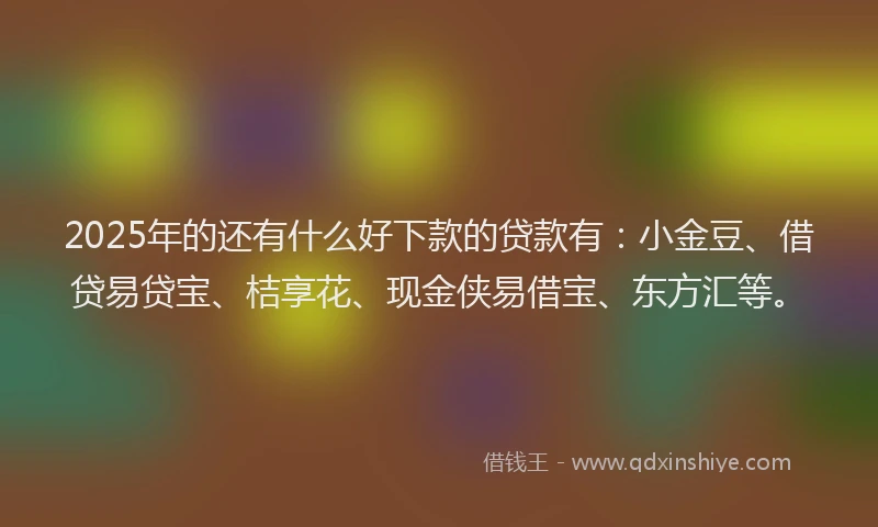 2025年的还有什么好下款的贷款有：小金豆、借贷易贷宝、桔享花、现金侠易借宝、东方汇等。