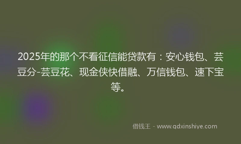 2025年的那个不看征信能贷款有：安心钱包、芸豆分-芸豆花、现金侠快借融、万信钱包、速下宝等。