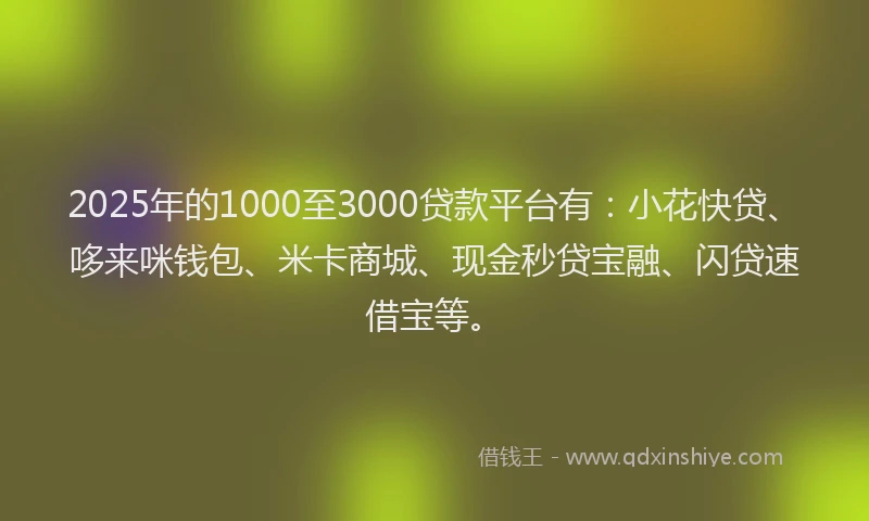 2025年的1000至3000贷款平台有：小花快贷、哆来咪钱包、米卡商城、现金秒贷宝融、闪贷速借宝等。