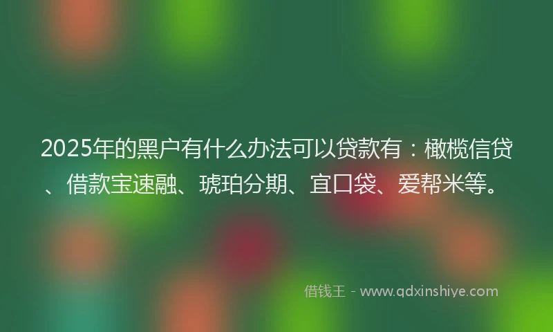 2025年的黑户有什么办法可以贷款有：橄榄信贷、借款宝速融、琥珀分期、宜口袋、爱帮米等。