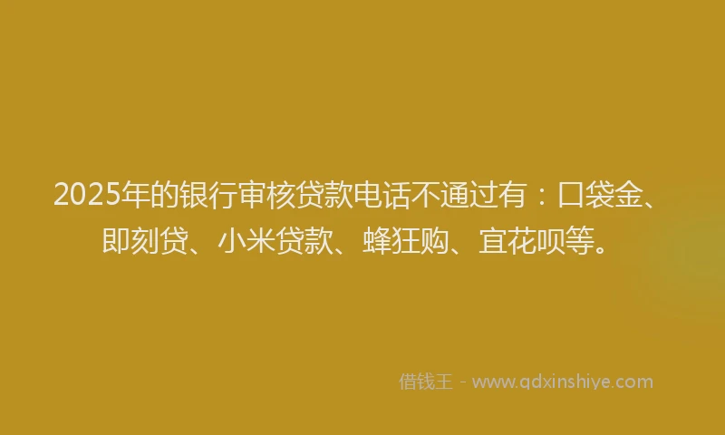 2025年的银行审核贷款电话不通过有：口袋金、即刻贷、小米贷款、蜂狂购、宜花呗等。