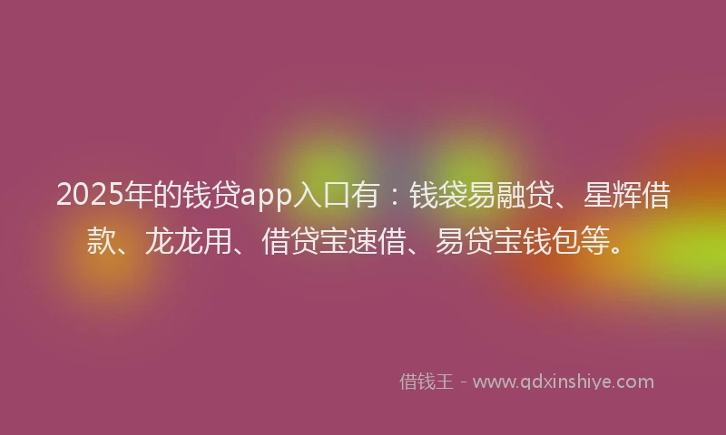 2025年的钱贷app入口有：钱袋易融贷、星辉借款、龙龙用、借贷宝速借、易贷宝钱包等。