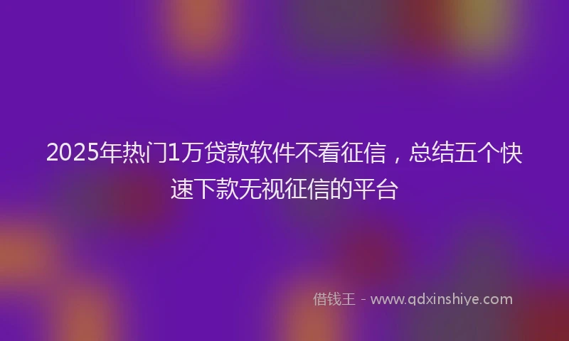 2025年热门1万贷款软件不看征信，总结五个快速下款无视征信的平台