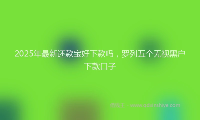 2025年最新还款宝好下款吗，罗列五个无视黑户下款口子