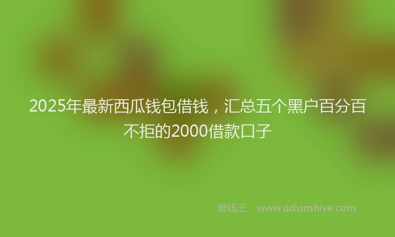2025年最新西瓜钱包借钱，汇总五个黑户百分百不拒的2000借款口子