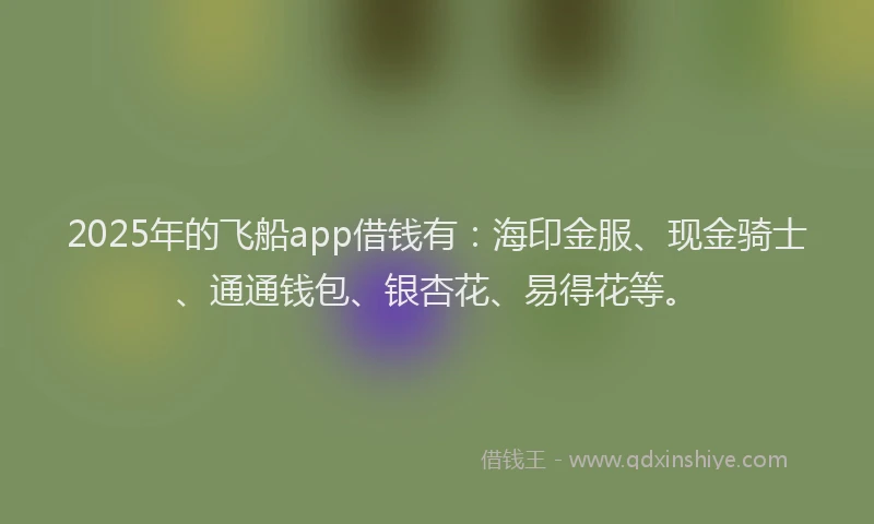 2025年的飞船app借钱有：海印金服、现金骑士、通通钱包、银杏花、易得花等。