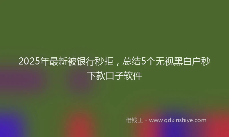 2025年最新被银行秒拒，总结5个无视黑白户秒下款口子软件