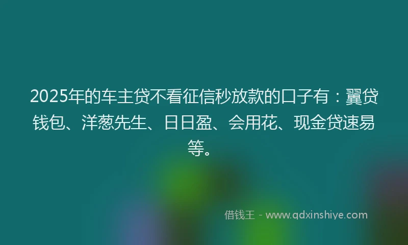 2025年的车主贷不看征信秒放款的口子有：翼贷钱包、洋葱先生、日日盈、会用花、现金贷速易等。