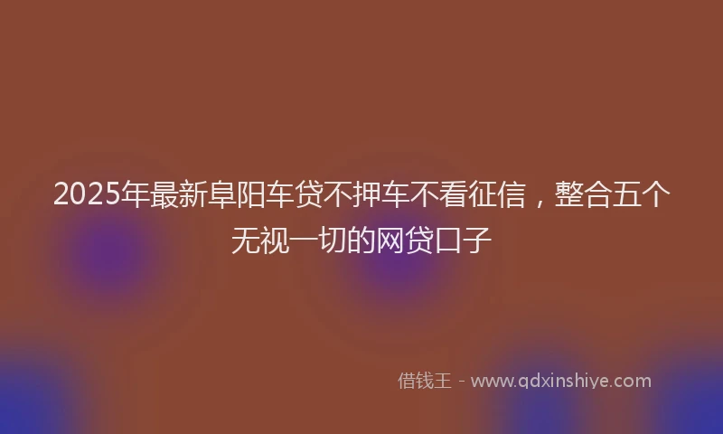 2025年最新阜阳车贷不押车不看征信，整合五个无视一切的网贷口子