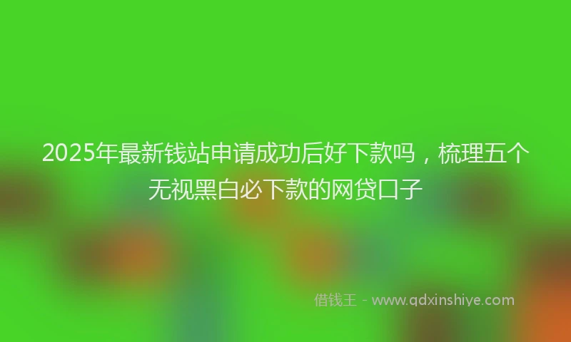 2025年最新钱站申请成功后好下款吗，梳理五个无视黑白必下款的网贷口子