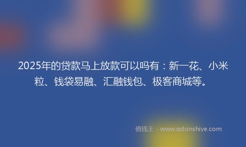 2025年的贷款马上放款可以吗有：新一花、小米粒、钱袋易融、汇融钱包、极客商城等。