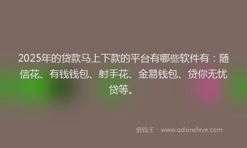 2025年的贷款马上下款的平台有哪些软件有：随信花、有钱钱包、射手花、金易钱包、贷你无忧贷等。