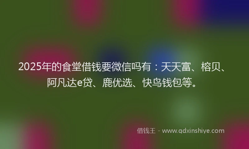 2025年的食堂借钱要微信吗有：天天富、榕贝、阿凡达e贷、鹿优选、快鸟钱包等。