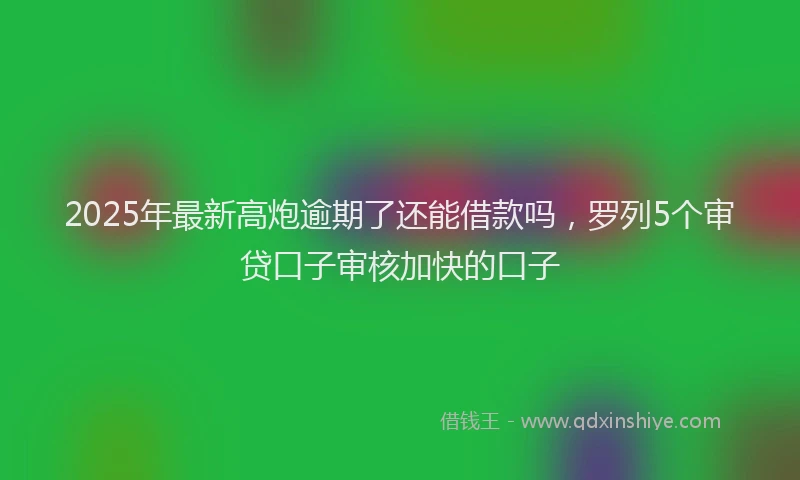 2025年最新高炮逾期了还能借款吗，罗列5个审贷口子审核加快的口子