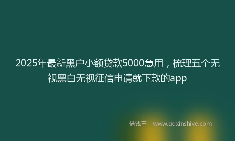 2025年最新黑户小额贷款5000急用，梳理五个无视黑白无视征信申请就下款的app