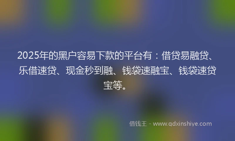 2025年的黑户容易下款的平台有：借贷易融贷、乐借速贷、现金秒到融、钱袋速融宝、钱袋速贷宝等。