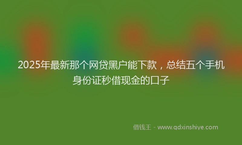 2025年最新那个网贷黑户能下款，总结五个手机身份证秒借现金的口子
