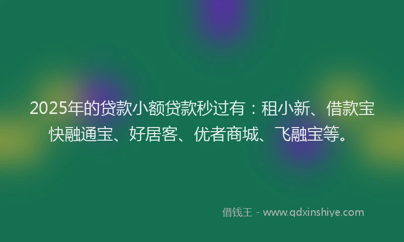 2025年的贷款小额贷款秒过有：租小新、借款宝快融通宝、好居客、优者商城、飞融宝等。