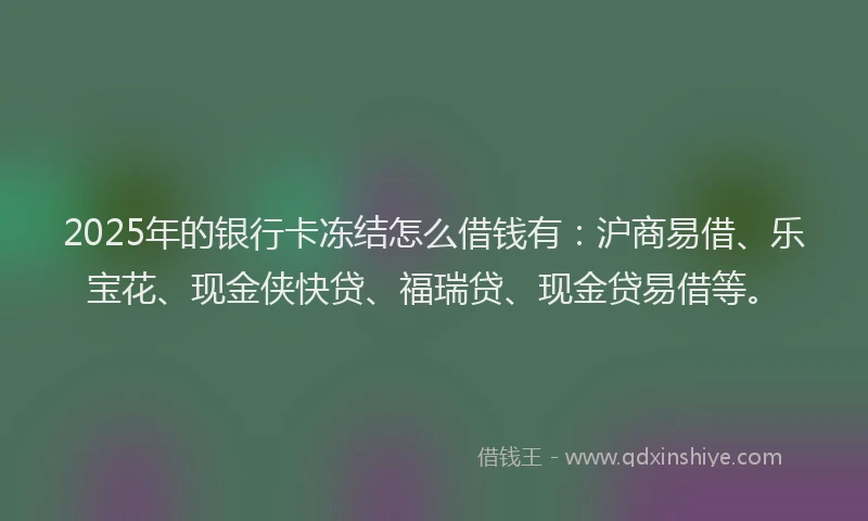 2025年的银行卡冻结怎么借钱有：沪商易借、乐宝花、现金侠快贷、福瑞贷、现金贷易借等。