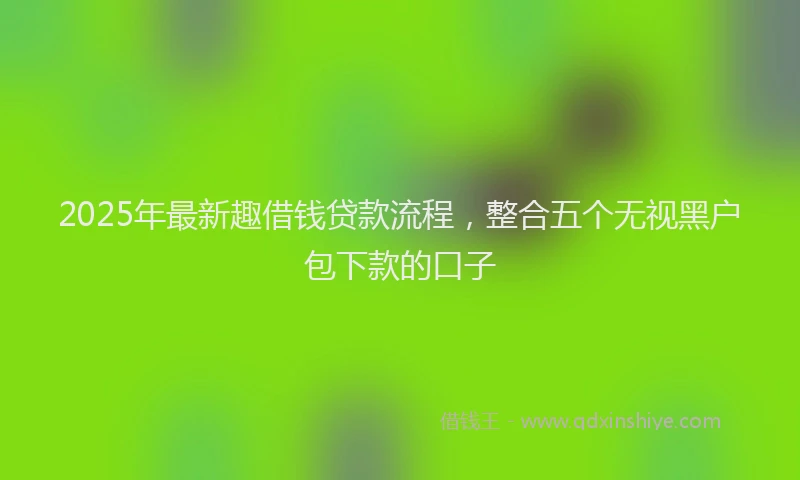 2025年最新趣借钱贷款流程，整合五个无视黑户包下款的口子