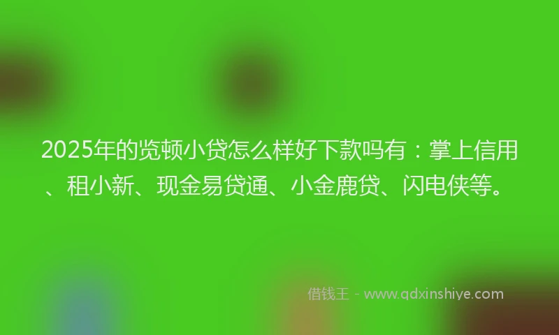 2025年的览顿小贷怎么样好下款吗有：掌上信用、租小新、现金易贷通、小金鹿贷、闪电侠等。