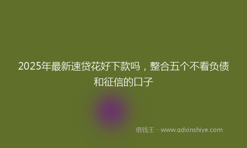 2025年最新速贷花好下款吗，整合五个不看负债和征信的口子