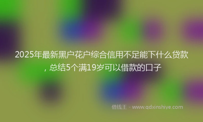 2025年最新黑户花户综合信用不足能下什么贷款，总结5个满19岁可以借款的口子