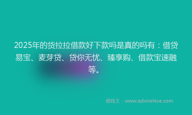 2025年的货拉拉借款好下款吗是真的吗有：借贷易宝、麦芽贷、贷你无忧、臻享购、借款宝速融等。